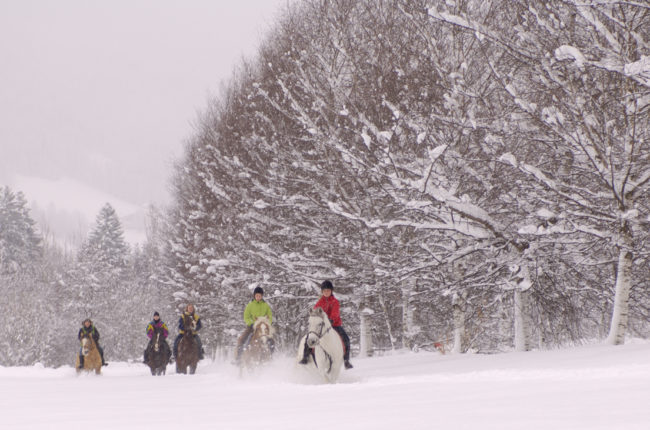 Winterreiten. Altenmarkt-Zauchensee